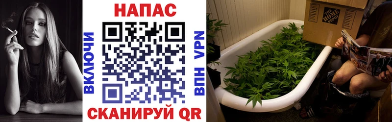 Конопля планчик  Мытищи 